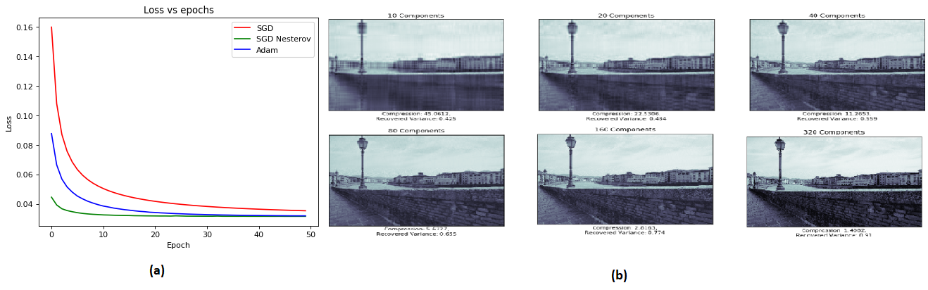  Comparison of SGD with Momentum or Nesterov Accelerated Gradient, and Adam methods and their rate of convergence. (b) Image compression using PCA